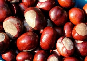 CASTAGNE